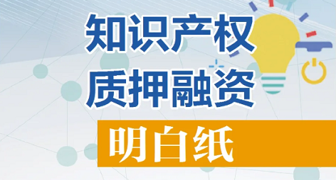 一图读懂丨知识产权质押融资明白纸