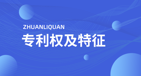 专利申请授权后，专利权人享受什么权利及专利权的特征...