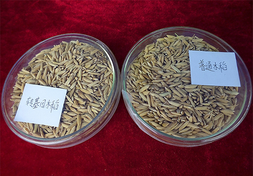 微信图片_20220315102457.png 微信图片_20220315102457.png
