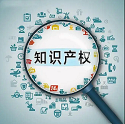 微信图片_20220419112434.png